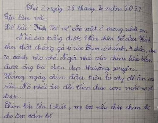 Học sinh tiểu học làm văn mà 