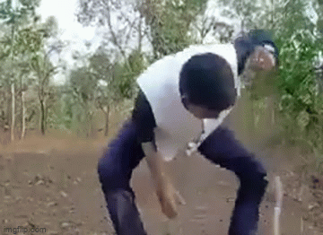 Video: Trêu ngươi rắn hổ mang cực độc để quay video, người đàn ông nhận cái kết đắng