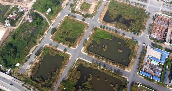 Cưỡng chế tiền thuế 2 doanh nghiệp trúng đấu giá 