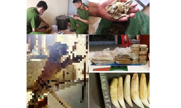 Cặp vợ chồng ở Thanh Hóa mua hổ về nấu cao