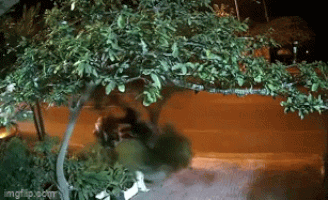 Video: Lao thẳng vào vệ đường, tài xế bay lên ôm trọn gốc cây