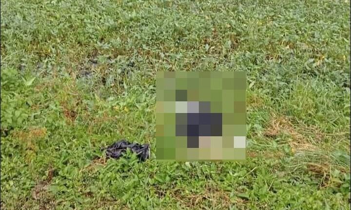 Cà Mau: Nam thanh niên tử vong bất thường ven Quốc lộ 1