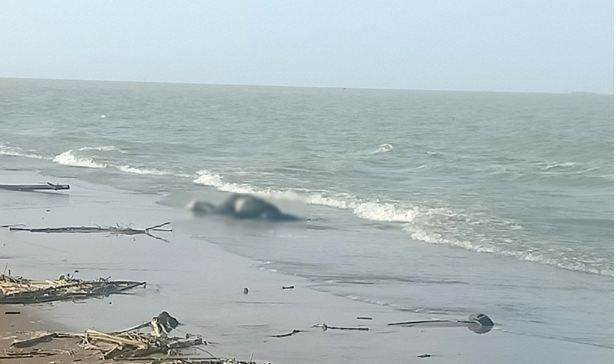 Vụ thi thể trôi dạt vào bờ biển Nghi Xuân: Nạn nhân trước đó đi khám bệnh