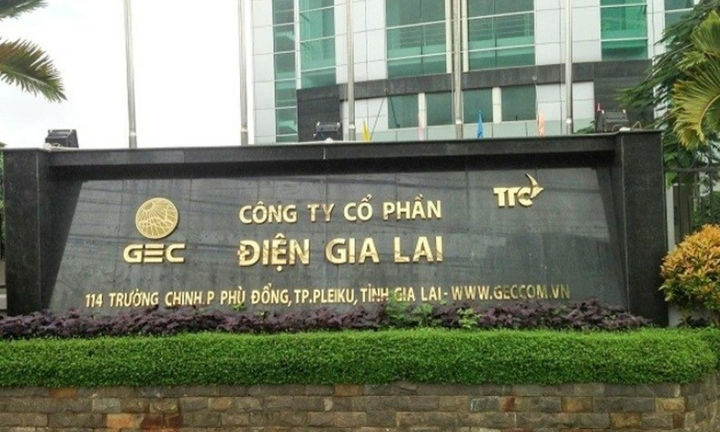 Xử phạt Điện Gia Lai vì vi phạm hành chính thuế