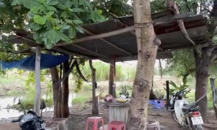 Bình Thuận: Người đàn ông bị sét đánh tử vong khi đang ngồi uống trà đá dưới gốc cây