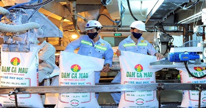 Đạm Cà Mau: Lợi nhuận quý II sụt giảm 71,5%, dàn lãnh đạo thu nhập tiền tỷ