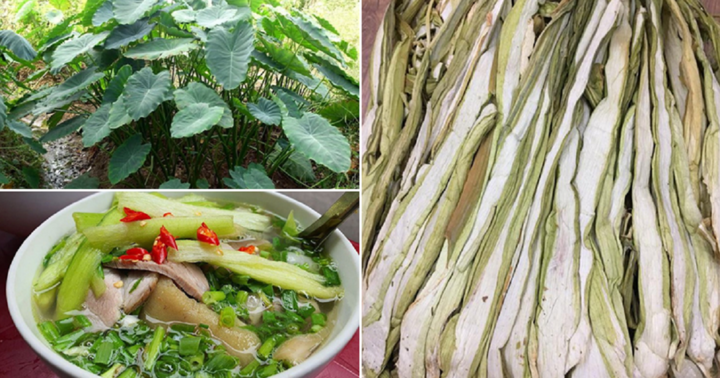 Loại cây chỉ hái cho lợn ăn bỗng “lên đời” thành đặc sản đắt đỏ