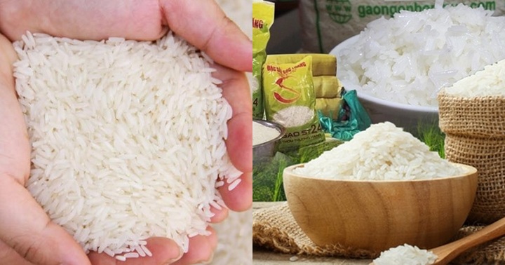 Giá gạo xuất khẩu Việt Nam trụ vững vị trí cao nhất thế giới