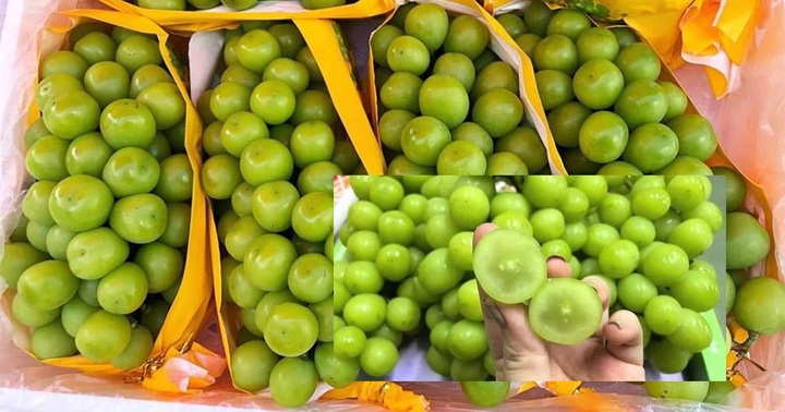 Sự thật nho “quý tộc” nhập khẩu tiền triệu giá chỉ còn 40.000 đồng/kg