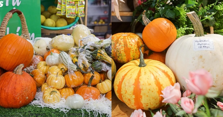 Người Việt chi tiền triệu mua bí ngô trang trí dịp Halloween