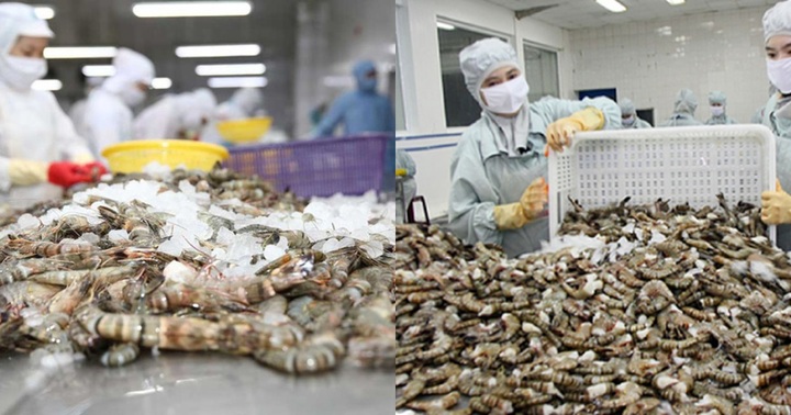 Nhật Bản là nhà nhập khẩu hải sản lớn nhất của Việt Nam 