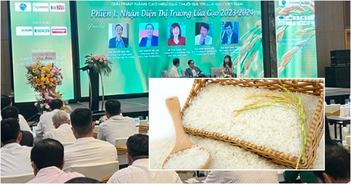 Giá gạo Việt Nam tăng quá cao: Đừng vội mừng