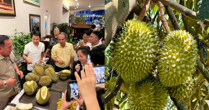 Giá sầu riêng tăng cao, bầu Đức khoe bán được 442 tấn trong 1 tháng