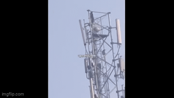 Video: Cô gái trèo lên tháp tín hiệu cao 50 m để ép bạn trai cưới mình