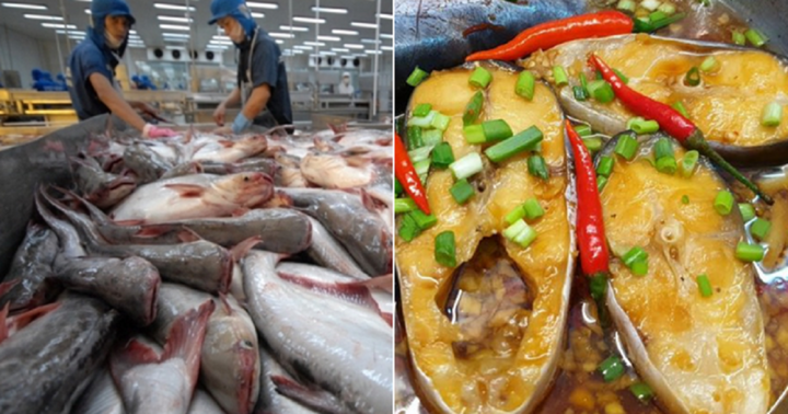 Loại cá nào của Việt Nam được người Trung Quốc “mê không lối thoát”, chi hàng chục triệu USD mỗi tháng để nhập khẩu?
