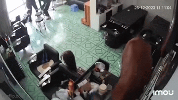 Video: “Vị khách 4 chân” lao thẳng vào tiệm tóc, khách hàng sợ hãi chạy tán loạn