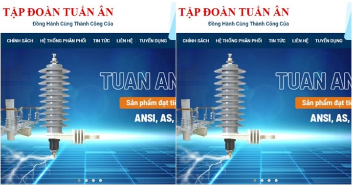 Sơ phác Tập đoàn Tuấn Ân có Chủ tịch HĐQT bị khởi tố: