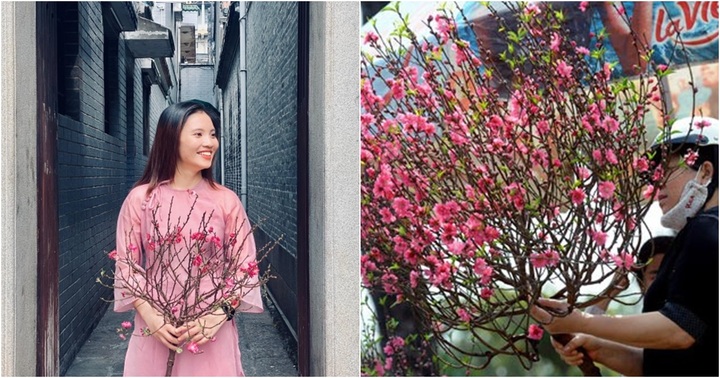 TP.HCM: Cành đào mini giá 200.000 đồng xuống phố sớm phục vụ khách chơi Tết
