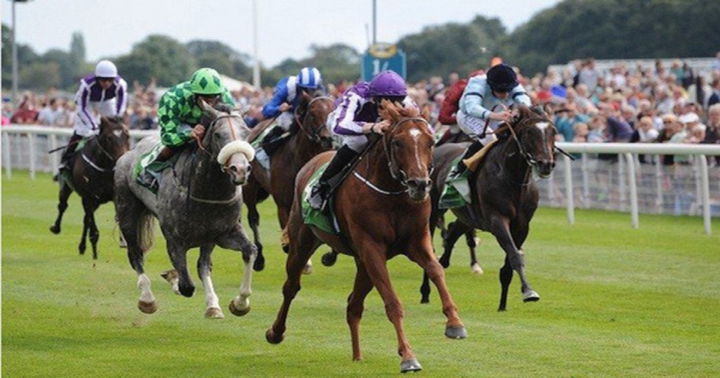 Danh tính đại gia Hàn Quốc đứng sau dự án trường đua ngựa gần nửa tỷ USD tại Hà Nội