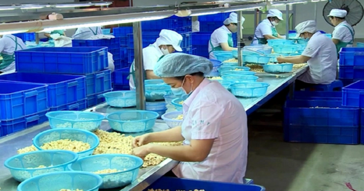 Vì sao là nước đầu ngành xuất khẩu loại hạt này, Việt Nam vẫn chi hơn 3 tỷ USD để nhập về trong năm 2023?