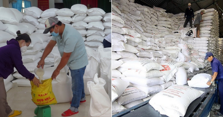 Cà Mau xin không nhận hỗ trợ gạo cứu đói dịp Tết Nguyên đán