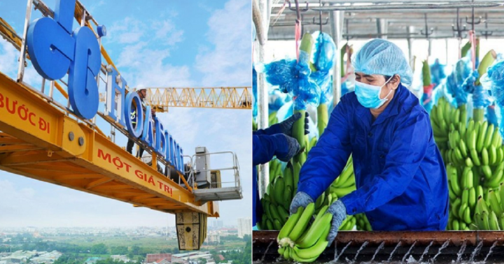 HAGL Agrico, Xây dựng Hòa Bình nhận tin không vui ngay đầu năm