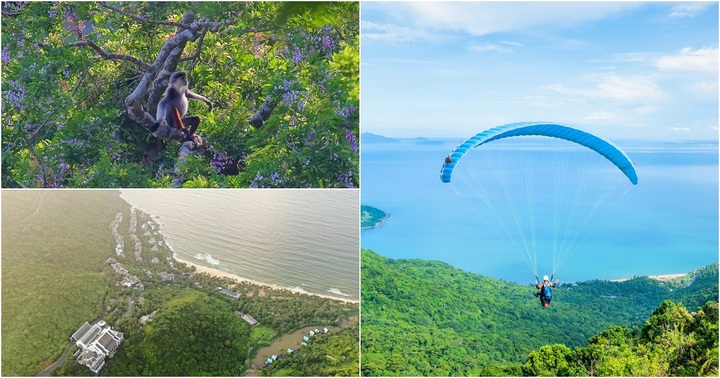 Có gì ở bán đảo Sơn Trà nơi Bill Gates chọn nghỉ dưỡng, tham quan?