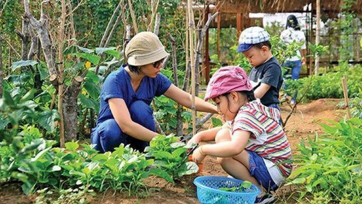 Những hoạt động vui chơi và giáo dục cho trẻ trong ngày Quốc tế Thiếu nhi 1/6