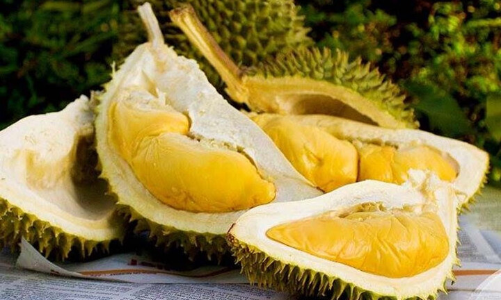 Thích ăn sầu riêng nhưng không phải ai cũng biết công dụng của loại quả này