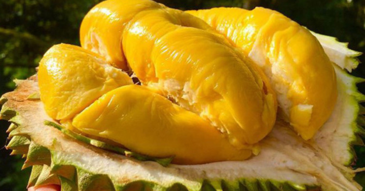 Đừng ăn sầu riêng nếu bạn thuộc 7 nhóm người này