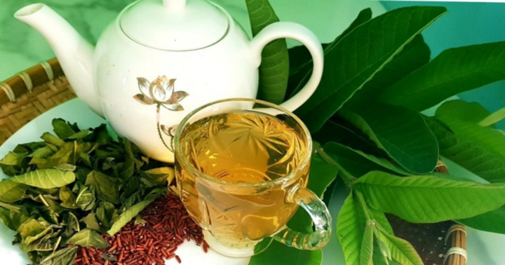 Bất ngờ với công dụng tuyệt vời từ nước lá ổi