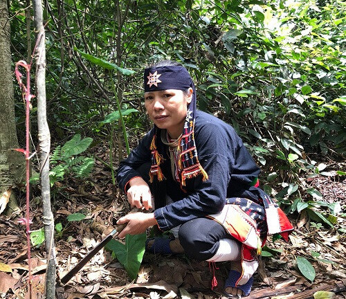 Tiết lộ biệt dược hiếm trong bài thuốc bí truyền 1.000 năm đập tan bệnh xương khớp