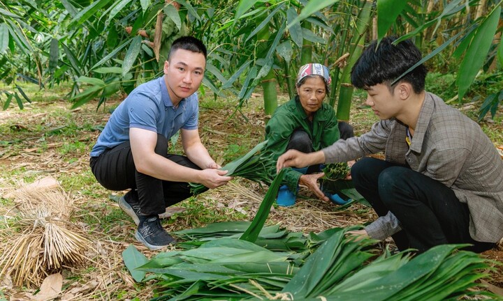CHÀNG TRAI TRẺ GIÚP DÂN THOÁT NGHÈO VỚI CÂY TRE BÁT ĐỘ