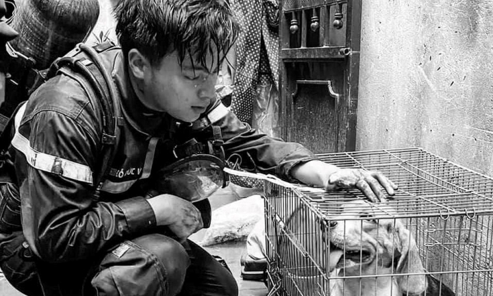 3 cán bộ, chiến sĩ phòng cháy chữa cháy hy sinh: Các anh ra đi, yêu thương ở lại