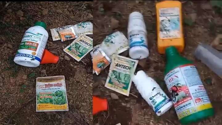 Tân Sơn - Phú Thọ: Các đơn vị chức năng đã vào cuộc sau thông tin lạm dụng thuốc diệt cỏ trên địa bàn