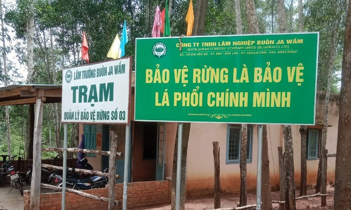 Báo cáo vụ nhân viên trạm bảo vệ rừng bị nhóm người lạ đánh đập đến nhập viện