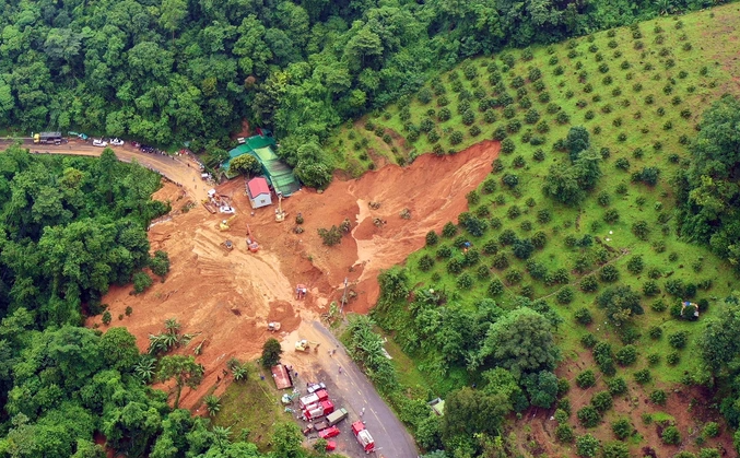 Vụ sạt lở đèo Bảo Lộc: Diện tích trồng sầu riêng tại điểm sạt lở có một phần là đất rừng