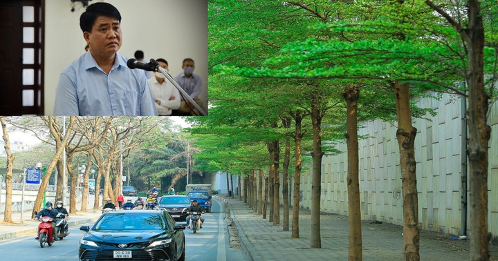 Cựu Chủ tịch UBND TP Hà Nội Nguyễn Đức Chung sắp hầu tòa vụ nâng khống giá cây xanh