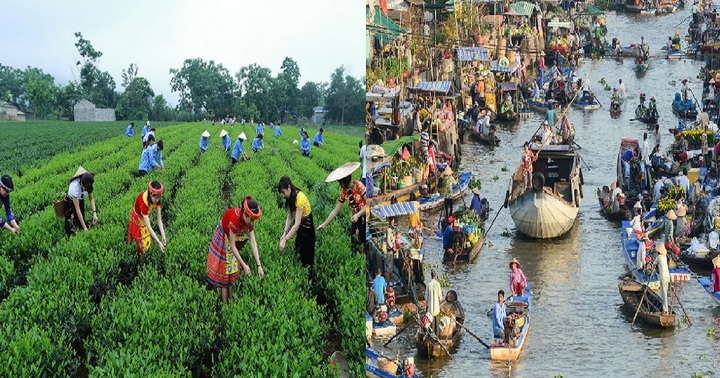 Hai phó Thủ tướng được phân công làm Chủ tịch Hội đồng điều phối 2 vùng