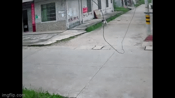 Video: Vướng phải dây điện mắc ngang đường, người phụ nữ gặp tai nạn bất ngờ