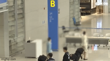 Hàn Quốc cáo buộc 2 nữ tiếp viên hàng không Việt Nam vận chuyển tinh dầu cần sa