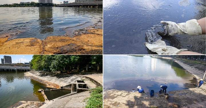 Truy tìm nguyên nhân gây ra lớp dầu loang đen kịt bao phủ mặt hồ Linh Đàm