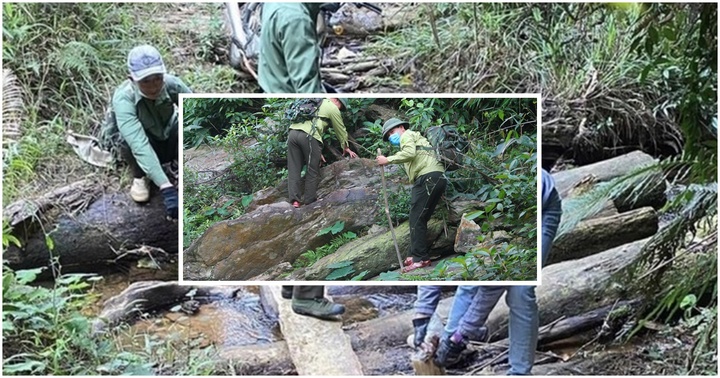 Nguyên nhân hàng trăm nhân viên bảo vệ rừng ở Kon Tum xin nghỉ việc?