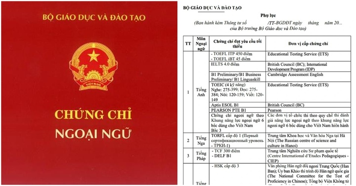 Những loại chứng chỉ nào có thể được miễn bài thi ngoại ngữ trong kỳ thi tốt nghiệp THPT 2024?
