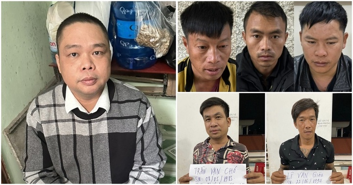  Tin tức an ninh hình sự 26/12: Tạm giữ hình sự 3 đối tượng tổ chức đánh bạc bằng hình thức chọi trâu