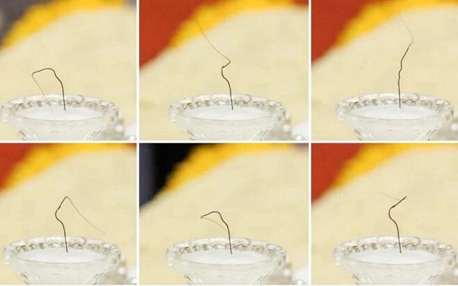 Thành phố Uông Bí báo cáo về vụ trưng bày