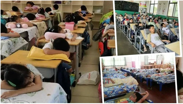 Thu phí ngủ trưa của học sinh, nhà trường buộc phải trả lại tiền