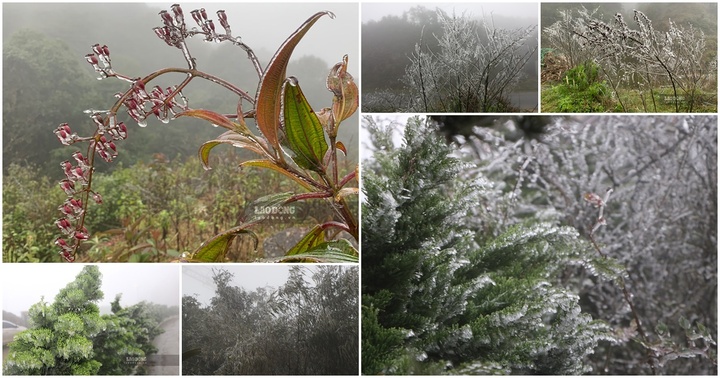 Chiêm ngưỡng vẻ đẹp độc đáo của đèo Ô Quý Hồ phủ đầy băng giá