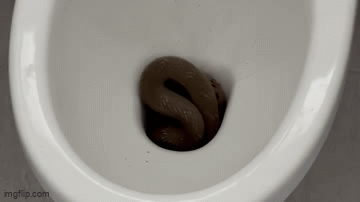 Người đàn ông khóc thét khi bất ngờ thấy