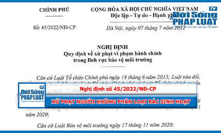 Từ 25/8 xử phạt hành vi không phân loại rác sinh hoạt